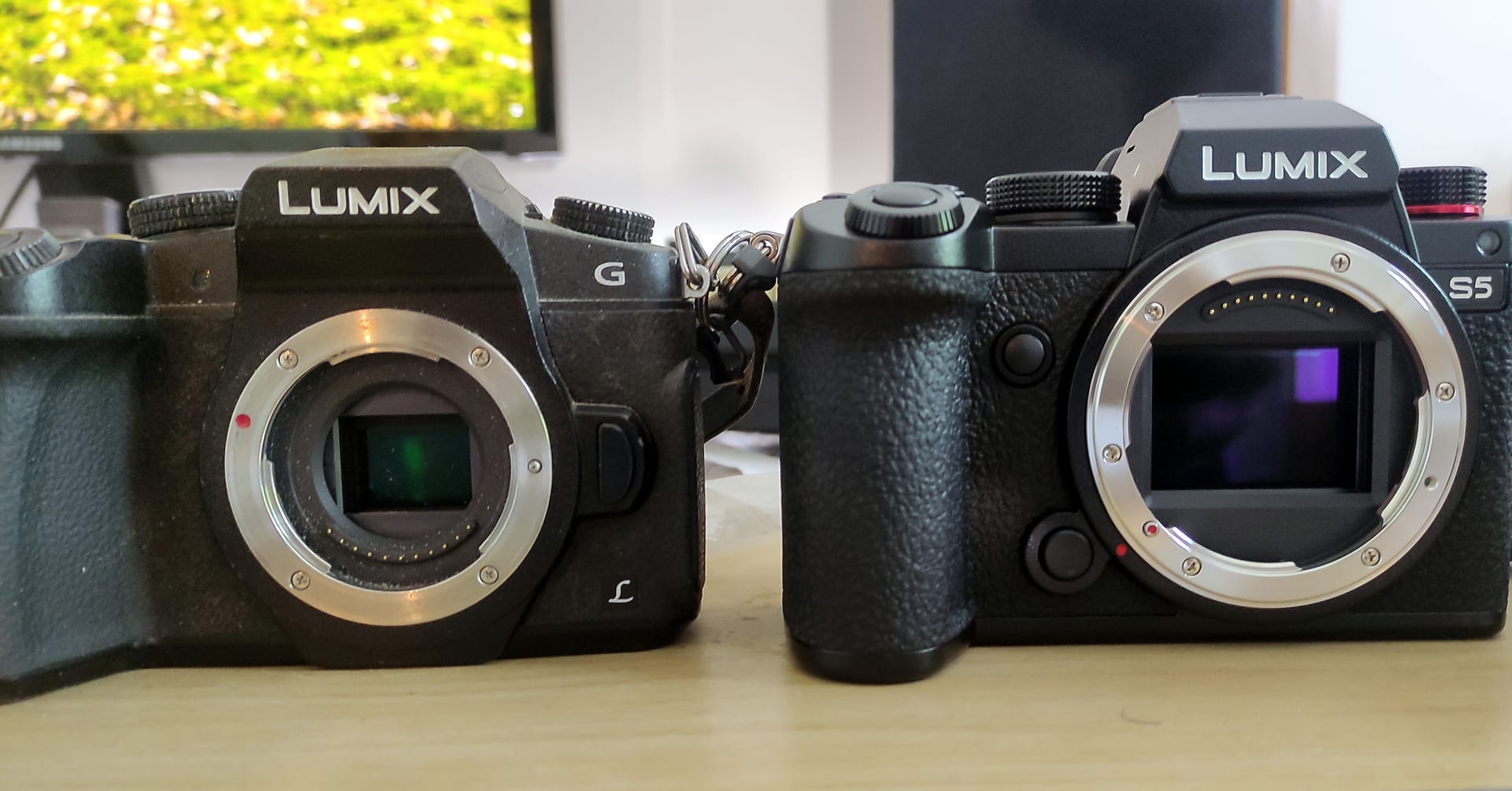 Micro Four Thirds on left, Full Frame on right. Sidenote: I should clean my sensor.